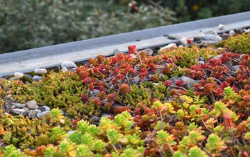 the cost of Pilling Lane green roof installation
