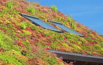 Pilling Lane living roof systems